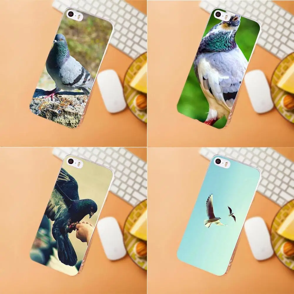 

Maerknon Animal Bird Pigeon Luxury Hybrid For iPhone 4 4S 5 5C SE 6 6S 7 8 Plus X HTC Desire 628 630 816 820 One A9 M7 M8 M9 M10