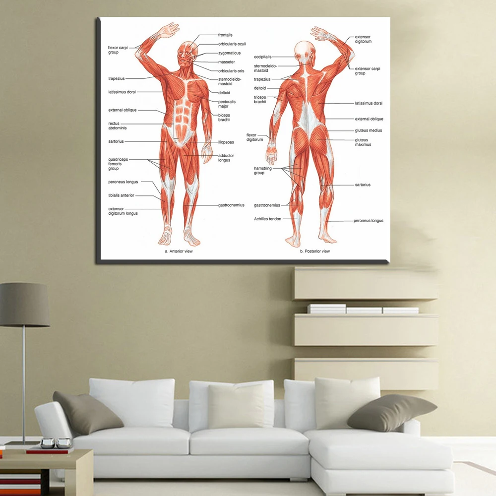 Canvas Print Size Chart