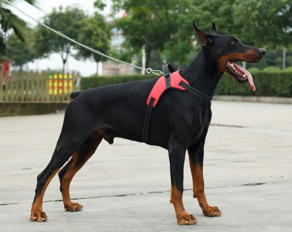 Подарочное издание высокого качества большая собака жгут открытый жилет Pet Harness в Оксфорде