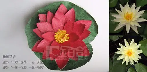 Diiy Origami Lotus Family And Friends To Send Gifts Home Holiday Decoration Potted Home Environment Family Friend Friend Giftfamily Gifts Aliexpress