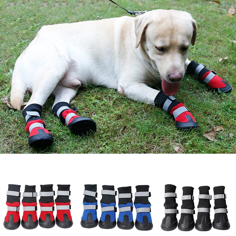 paw booties