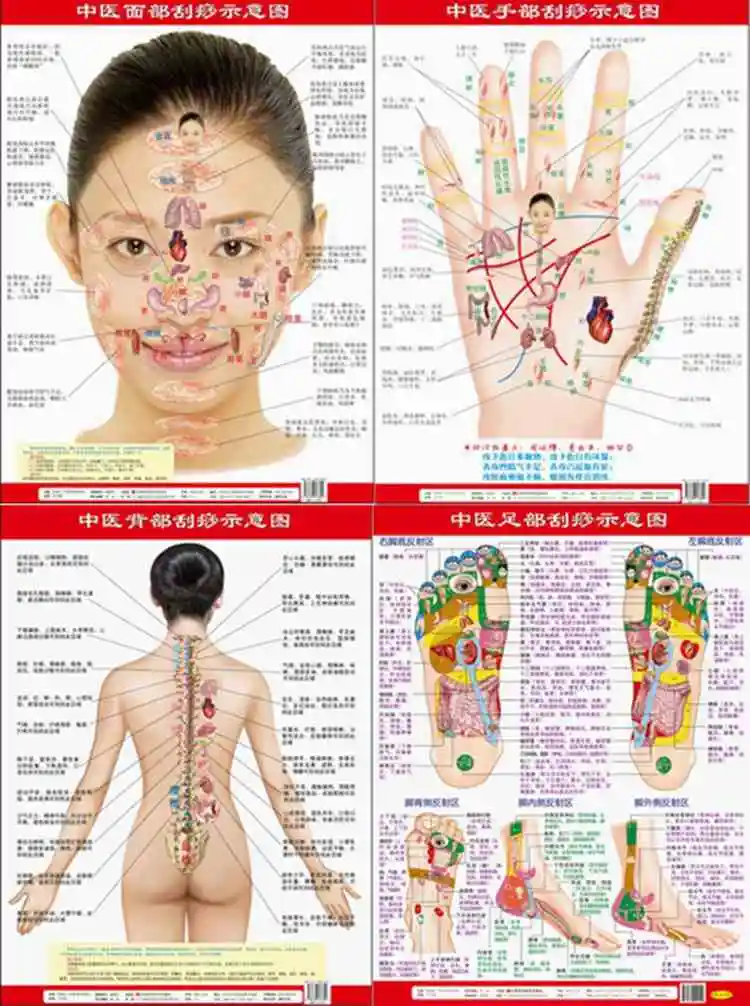 Sha Chart