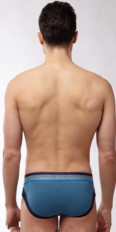 Free Shipping  Male Panties Sail Sculpted Cotton Briefs Men's Underwears 2