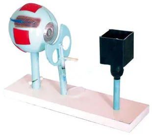 

Eye instrument model Eye imaging Demo free shipping