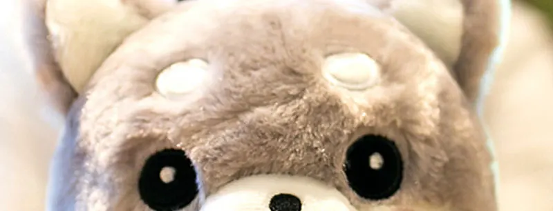 Plush Toys (31)