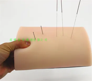 

Chinese Acupuncture Needle massage training module Acupuncture Training Simulation Skin Silicone Model
