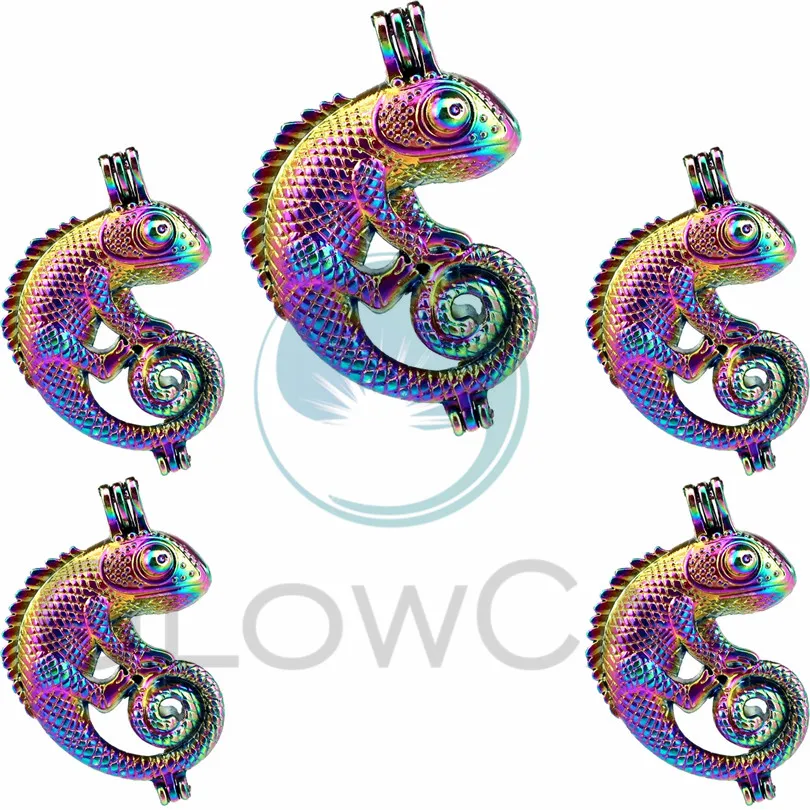 

5X Rainbow Chameleon Pearl Cage Locket Essential Oil Diffuser Necklace Charms for Oyster Pearl DIY Earring Pendant