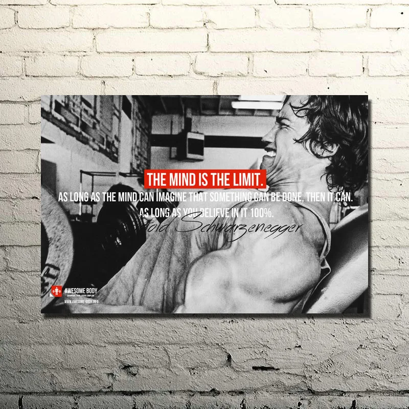 Арнольд шварценеггер искусственная цитата шелковый плакат печать 13x20 24x36 дюймов