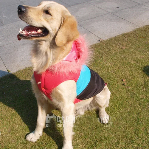 Золотистый ретривер, многоцветная лыжная одежда для собак, куртка с капюшоном для больших собак, 2 цвета, SZ3XL-4XL