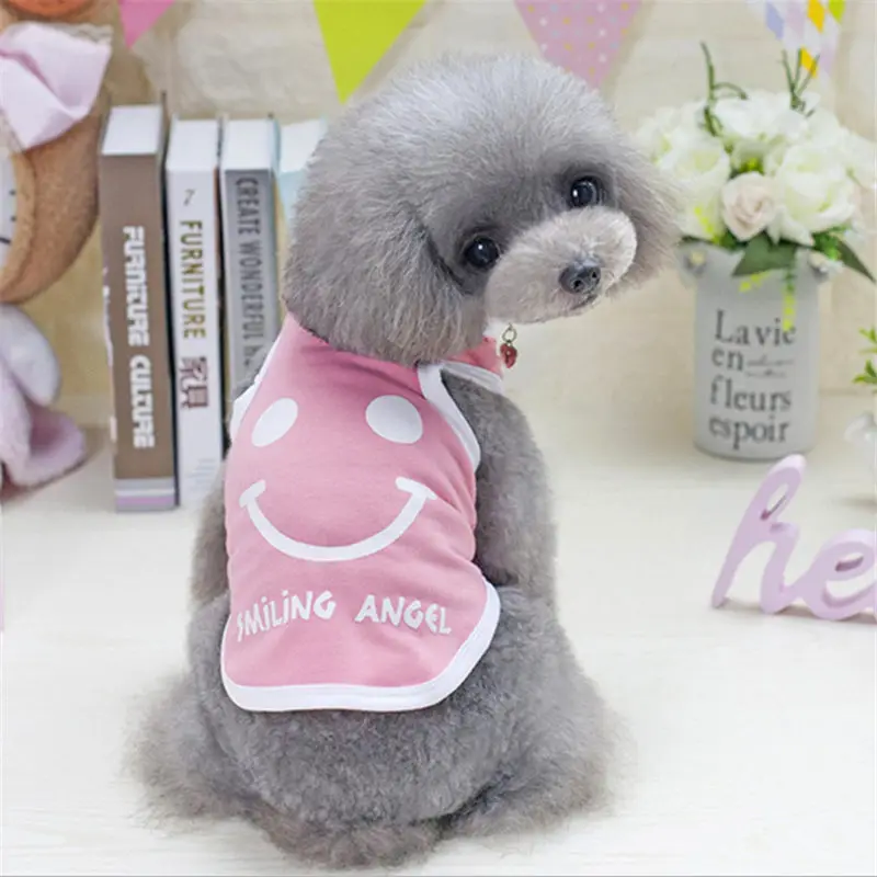 QQ20190301140508