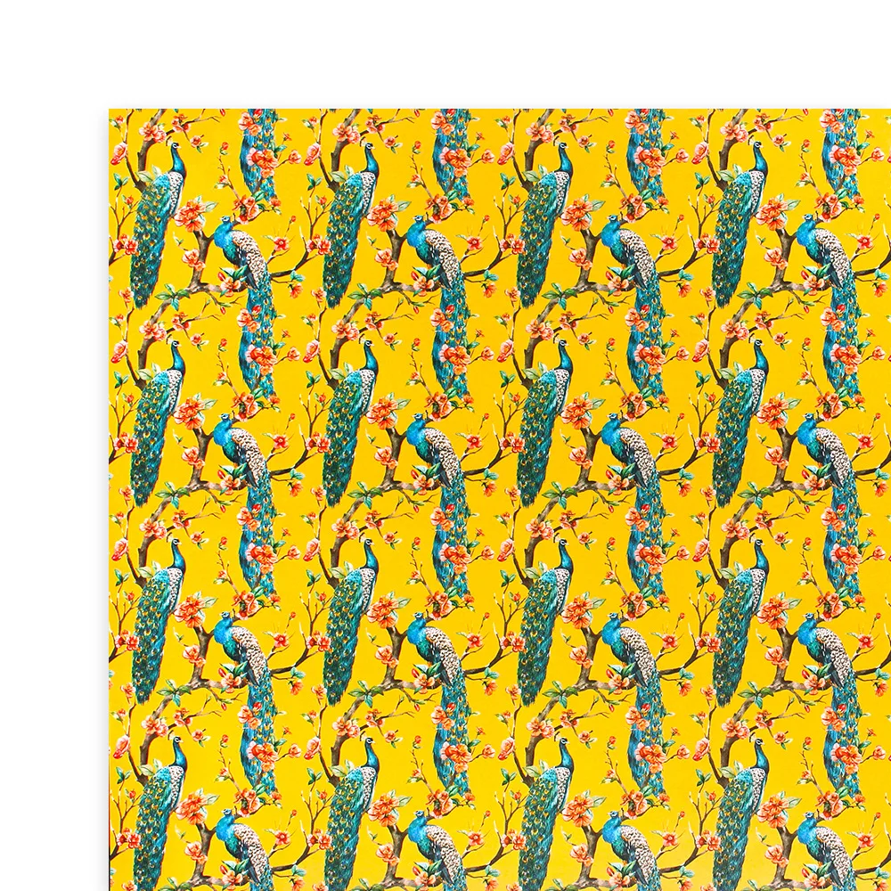 9296622453_2131516658