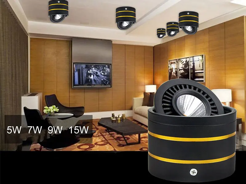 LED Surface mounted downlight  (6)