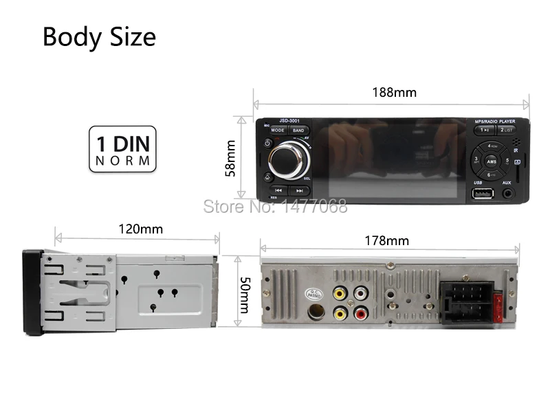 body size