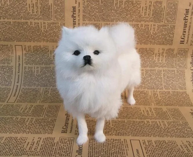 large 22x20cm plastic fur white pomeranian dog hard model craft home decoration toy gift w0180