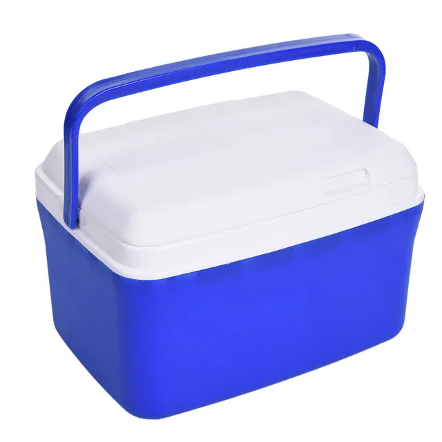 Buy 8L Portable Incubator Cold and Warm Box Mini