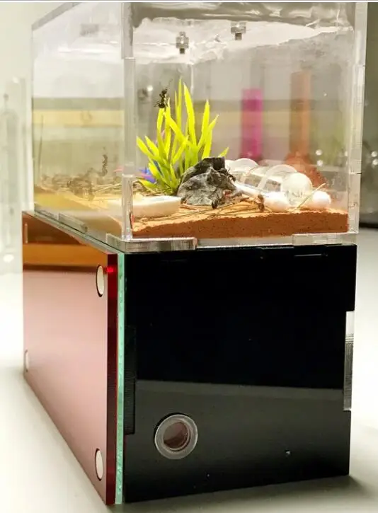 20180416_181515_186