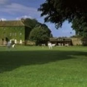 Cricket match on the green at Crakehall  Bedale  North Yorkshire  England Poster Print (18 x 6)