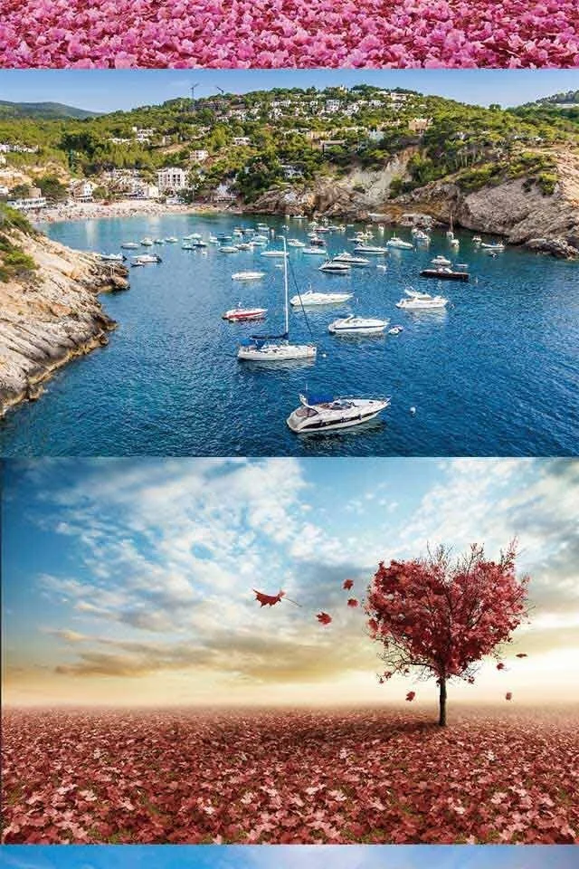 1000pcsIMG_1666