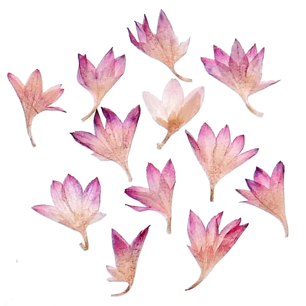 HTB1zEKUaBDH8KJjSszcq6zDTFXaN