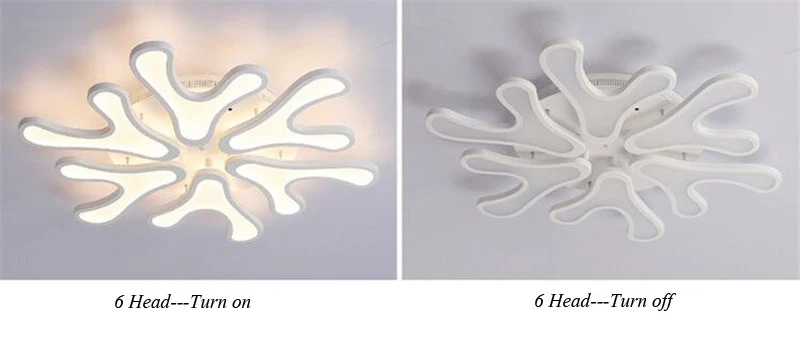 Post modern ceiling lamp (22)