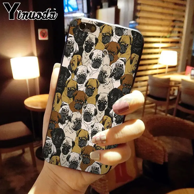 pug dog animal