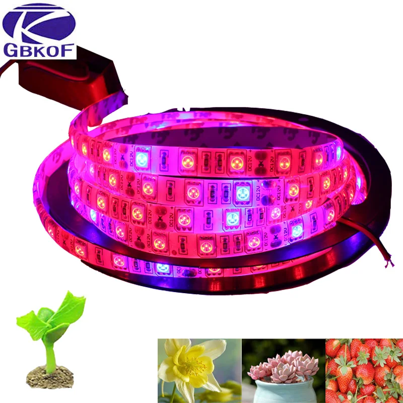 Assured, Leg grow light strip Leg grow light strip