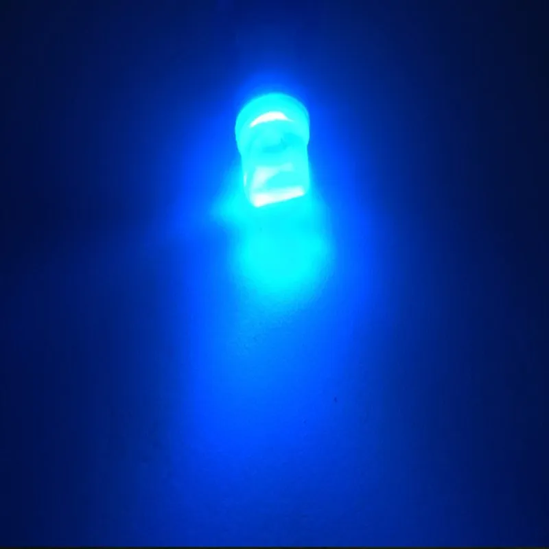 3316659144_736633873_