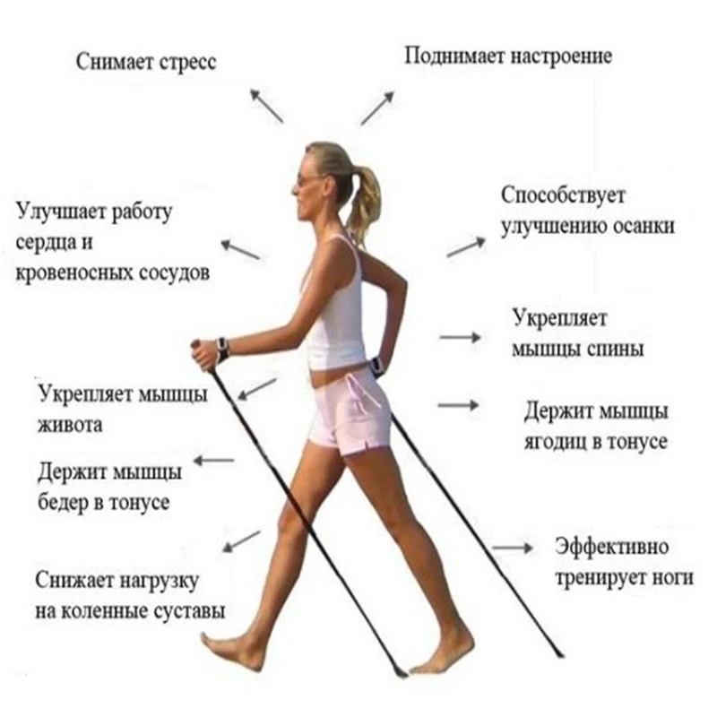 6 цветов Регулируемый АНТИШОК трекинг Пеший Туризм Трость полюса 3-х секционный 66 см-135 см/2" до 53" Прямая поставка товара со склада 1 шт