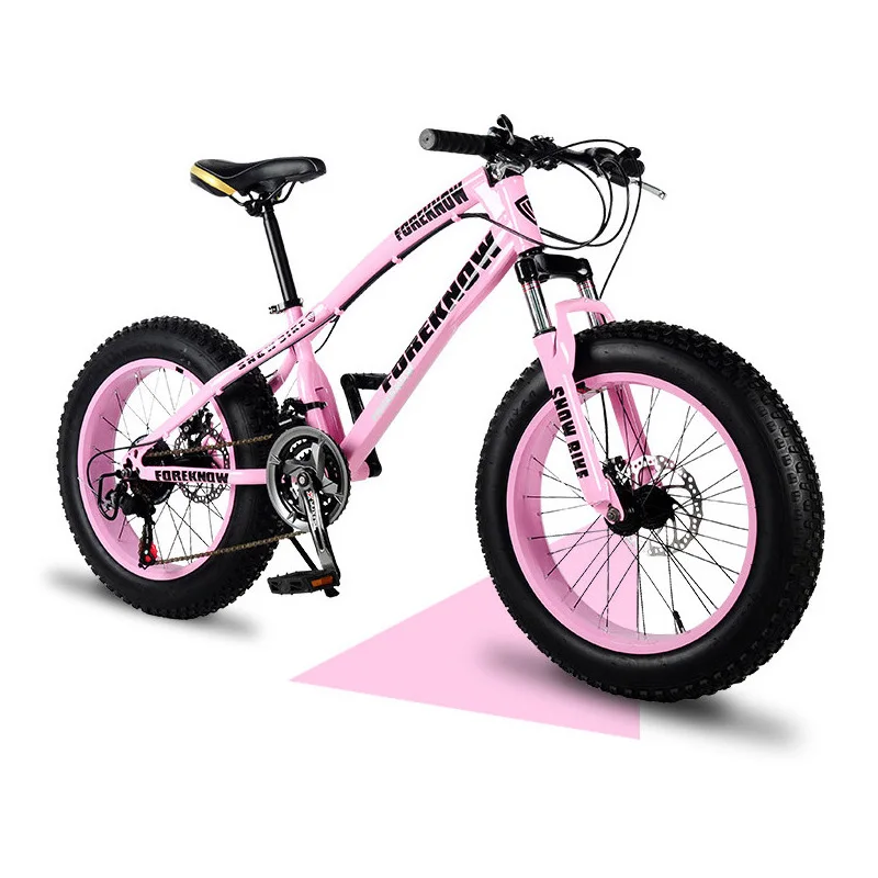 Sale Snowy Mountain Bicycle 20 Inch 4.0 Tire Double Disc Brake Adult Variable Speed Off-Road Beach Bicycle 3