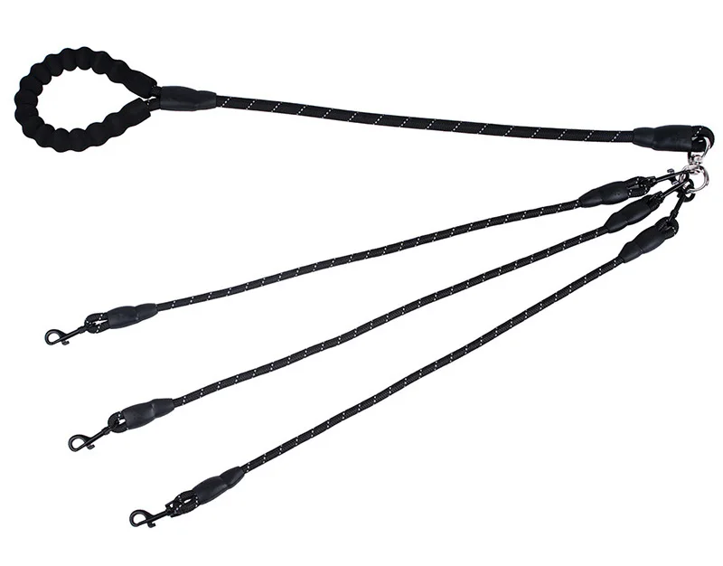 puppy leash-