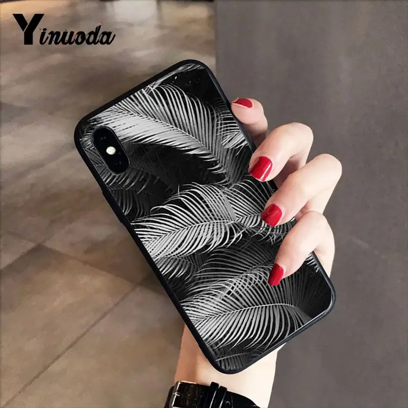 Black white palm leaves palm trees