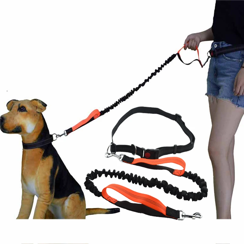 

Pet Dog Leash Running With Safety Reflective Hands Free Elasticity Dog Leashes Collar Harness Leads For Medium Big Dogs Walking
