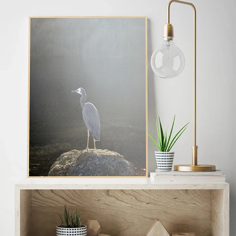 Bird Prints Home Wall Decor