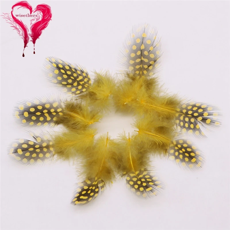 6 golden guinea fowl feather 2