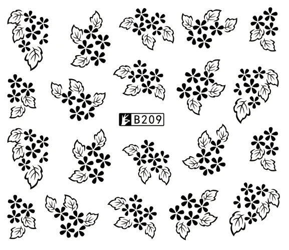 B209 