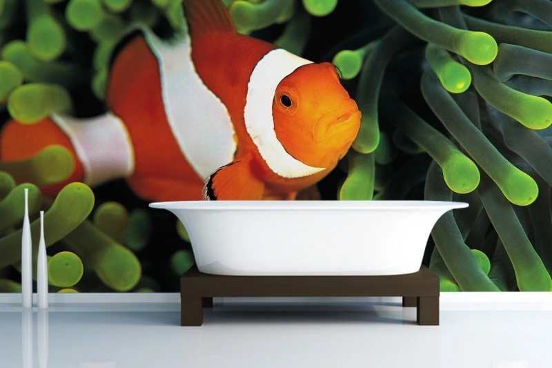 Popular Wall Murals FishBuy Cheap Wall Murals Fish lots from China