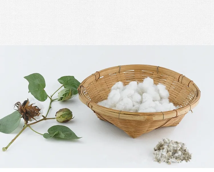 8853254772_1071747453