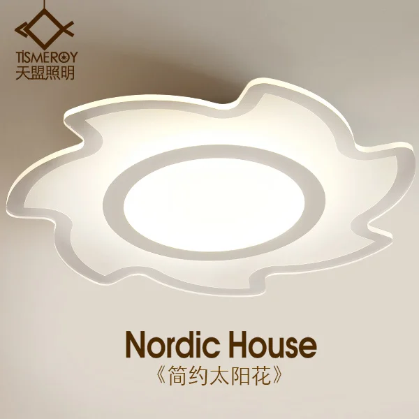 

North American type acrylic ceiling LED modern minimalist living room bedroom warm dining study balcony lamp