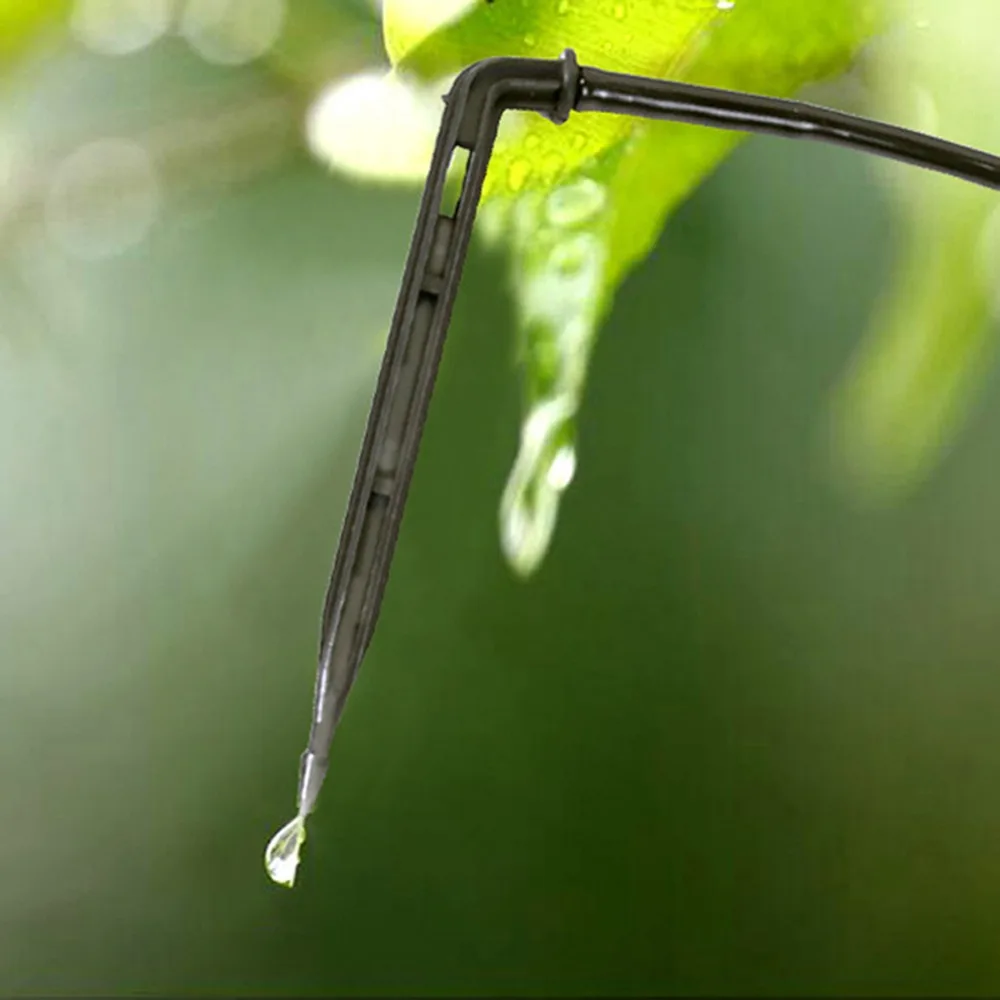 HTB1sf1lklDH8KJjSszcq6zDTFXaT