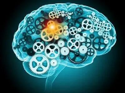

Huperzine A 300mcg Supports Memory Health