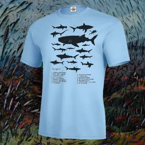 Fashion Men T Shirt Free Shipping Brand New SHARK IDENTIFICATION CHART