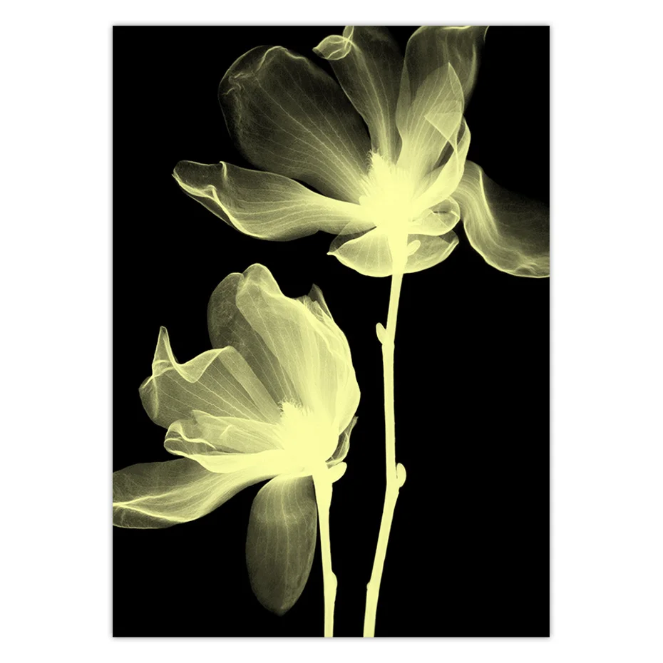 color_opt_15