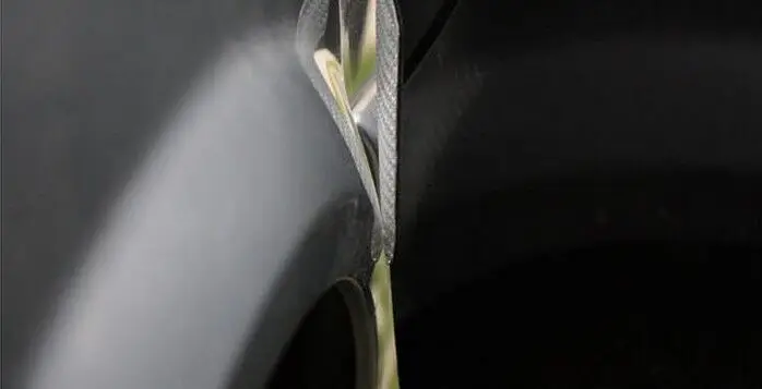 QQ20180429211227