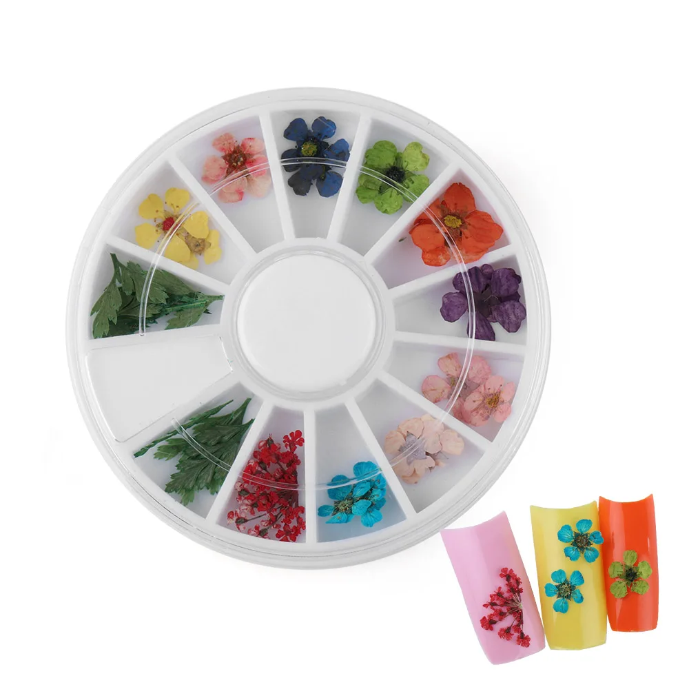 24 шт./колесо DIY 3D смешанные Натуральные сушеные цветы прессованный цветок лист наклейки для дизайна ногтей декоративные наклейки для маникюра - Цвет: 02