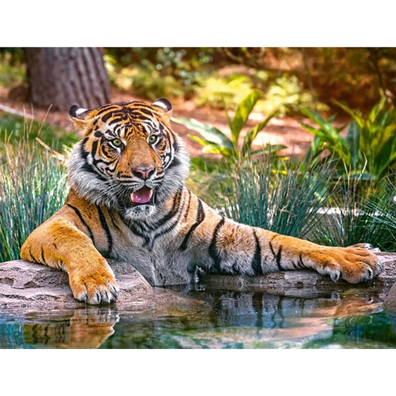 

DIY Diamond Painting Cross Stitch FULL Drill Diamond Embroidery Tiger by the river Home Decoration Hand Pasted