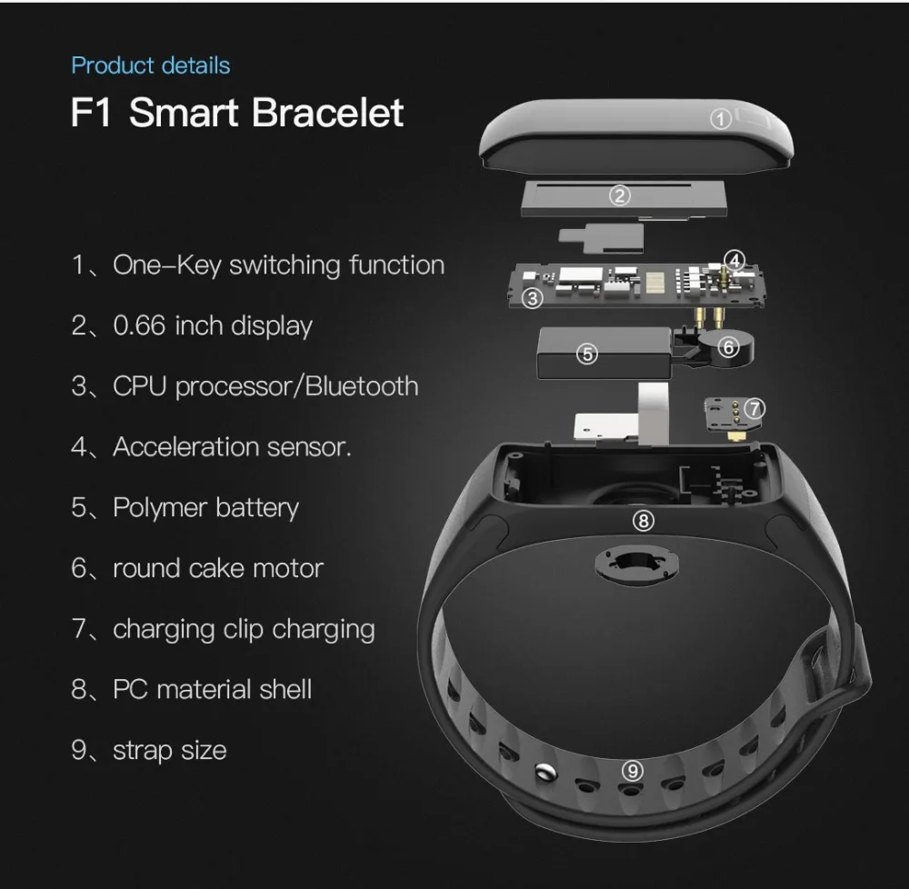 f1plus_06
