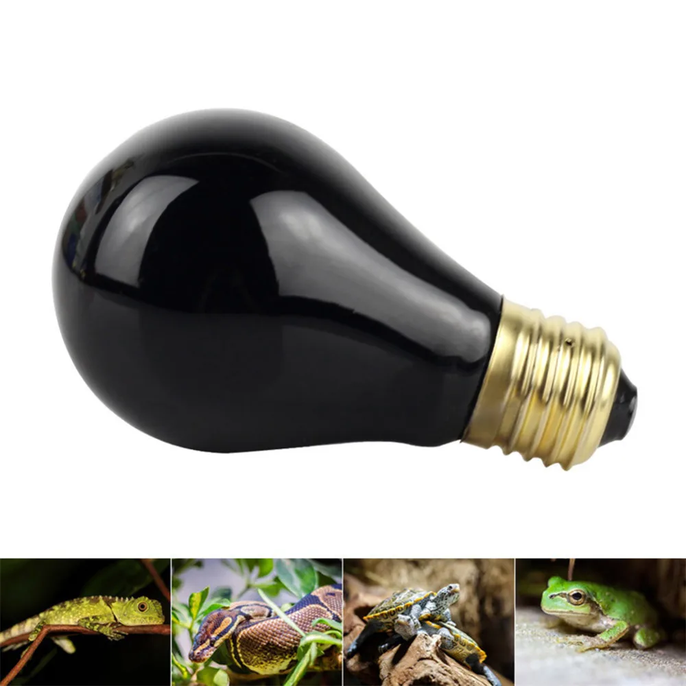 Buy 40W 60W Black Night Light Amphibian Warm Moonlight