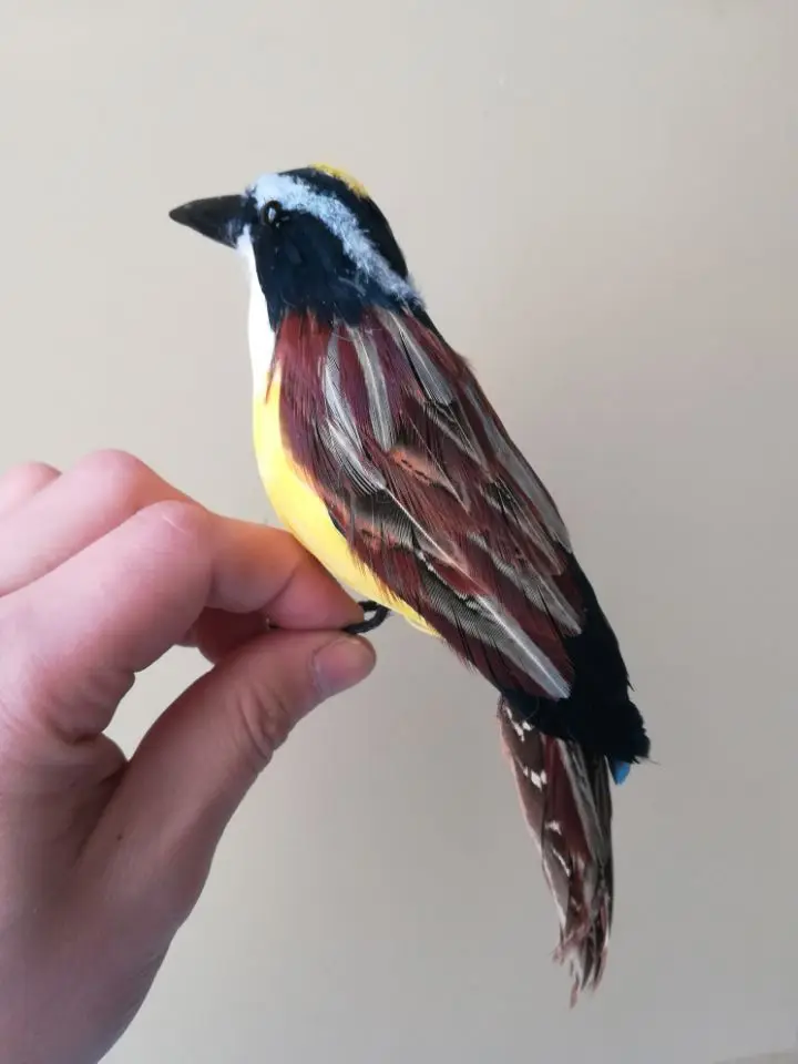 Моделирование Птица Pitangus sulphuratus пены и перья vivid игрушки птицы около 20 см 0254