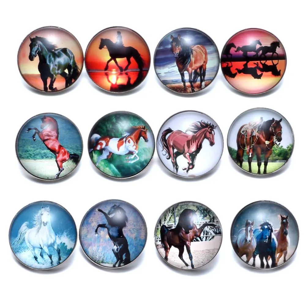 12pcs/lot Horse Theme Glass Charms 18mm Snap Button Jewelry For 18mm Snaps Bracelet Snap Jewelry KZ0677