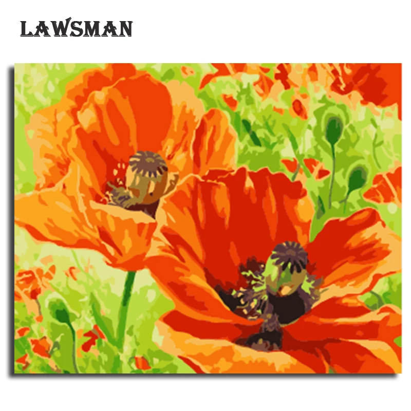 LAWSMAN framelsee diy oil Painting by number handpainted canvas